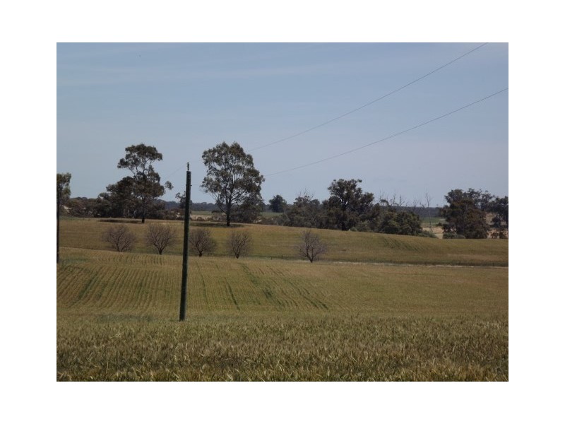 117 Bradford exchange Road, Narrogin WA 6312