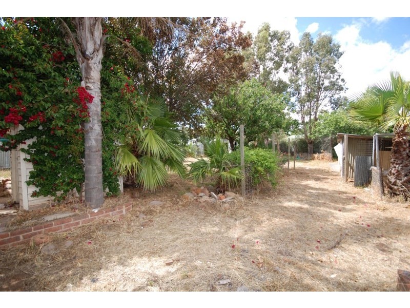 78 Northwood Street, Narrogin WA 6312