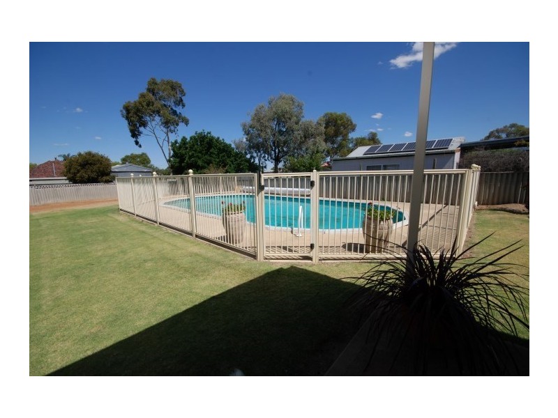 3 Pitt Street, Narrogin WA 6312