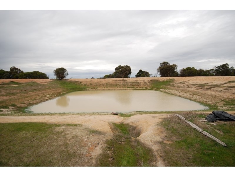 Lot 176 Narrakine Road South, Narrogin WA 6312