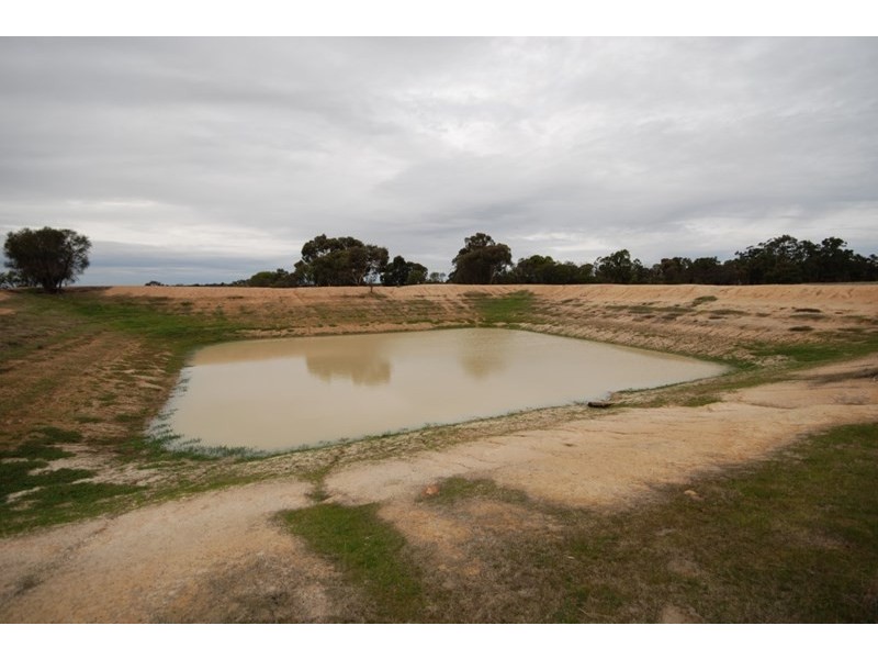 Lot 176 Narrakine Road South, Narrogin WA 6312