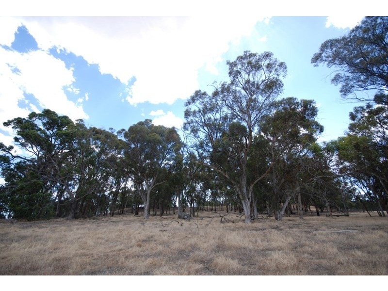 Lot 176 Narrakine Road South, Narrogin WA 6312