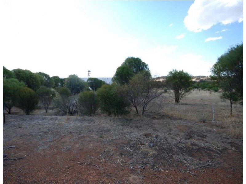 163 Narrogin Road, Williams WA 6391