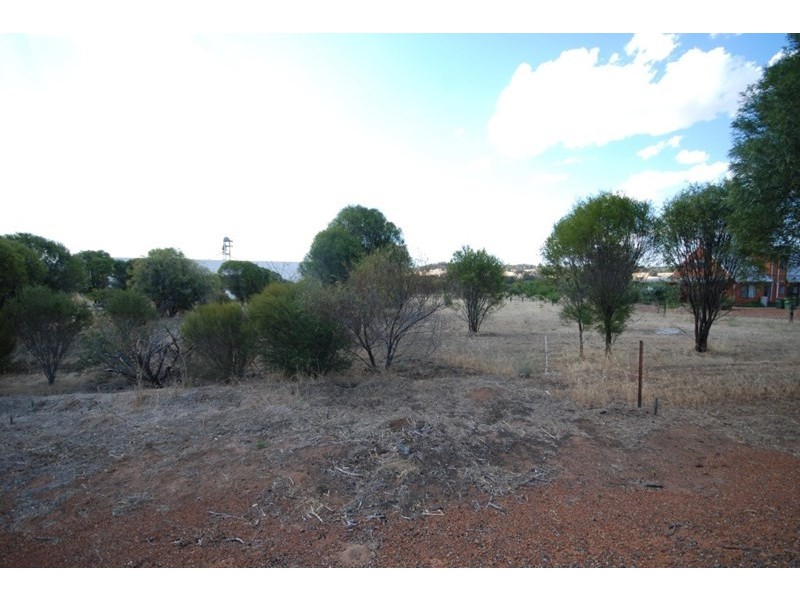 163 Narrogin Road, Williams WA 6391