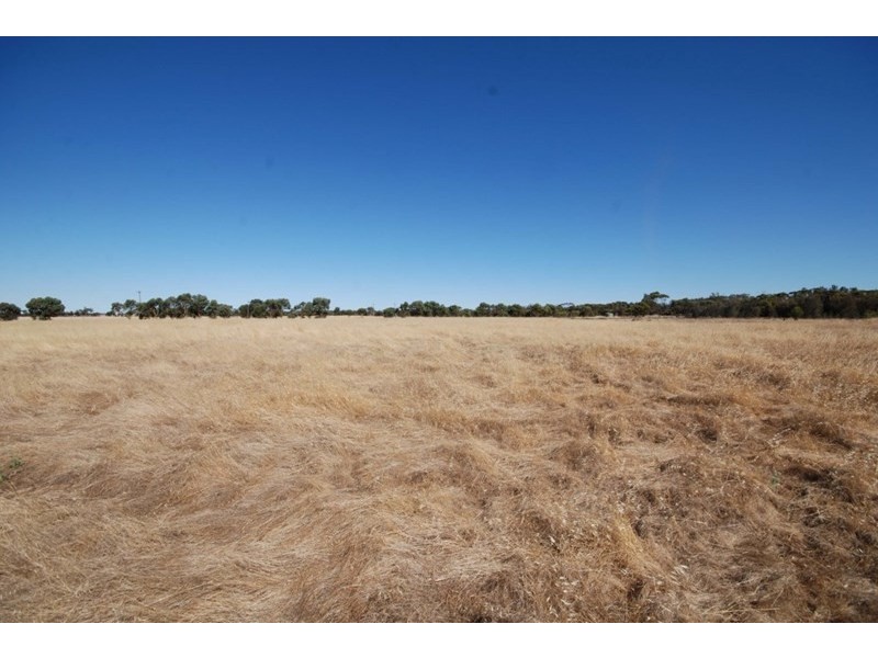 Lot 2 Bullock Hills Road, Wagin WA 6315