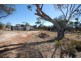 Lot 2 Bullock Hills Road, Wagin WA 6315