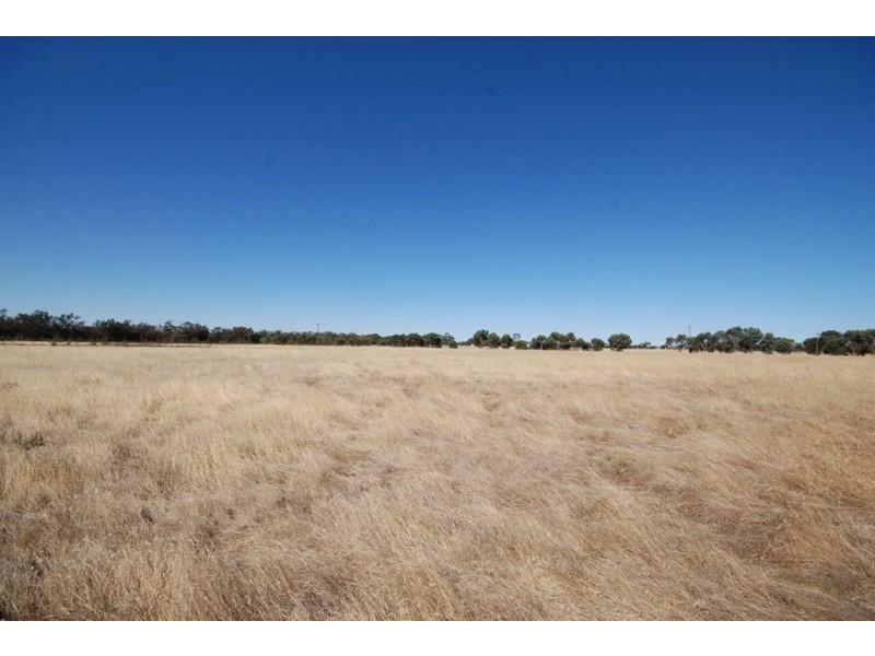 Lot 2 Bullock Hills Road, Wagin WA 6315