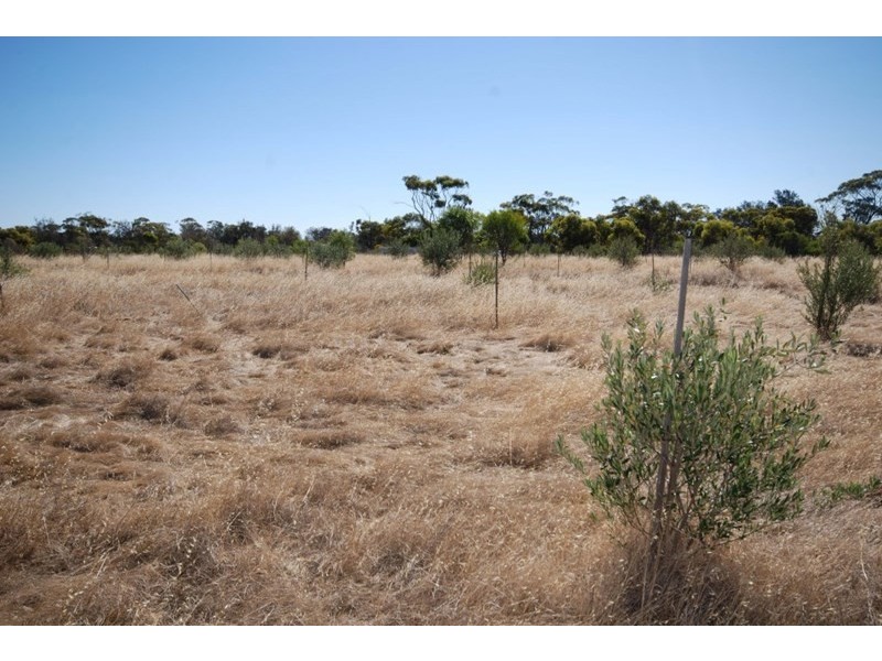 Lot 2 Bullock Hills Road, Wagin WA 6315