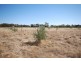 Lot 2 Bullock Hills Road, Wagin WA 6315