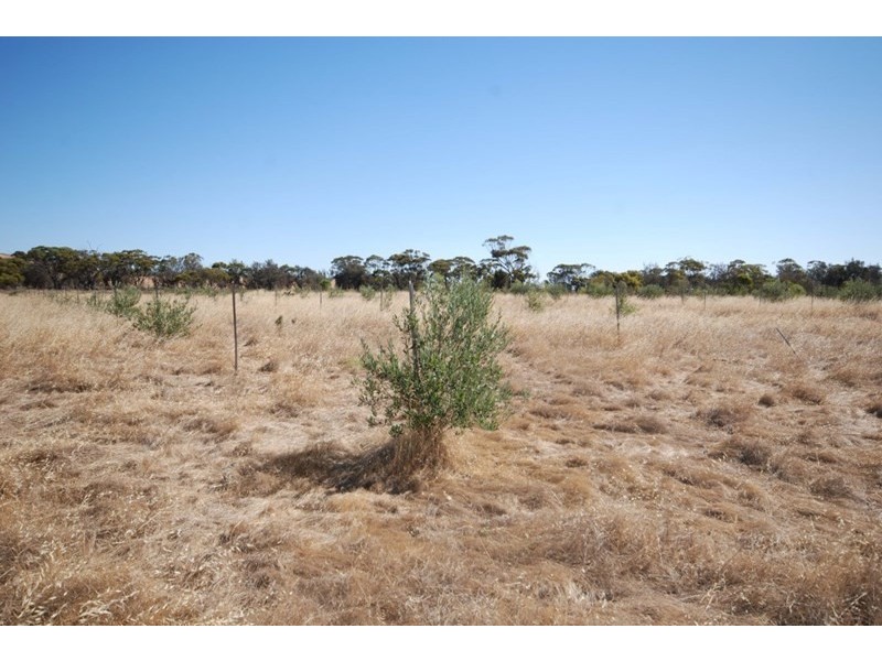 Lot 2 Bullock Hills Road, Wagin WA 6315