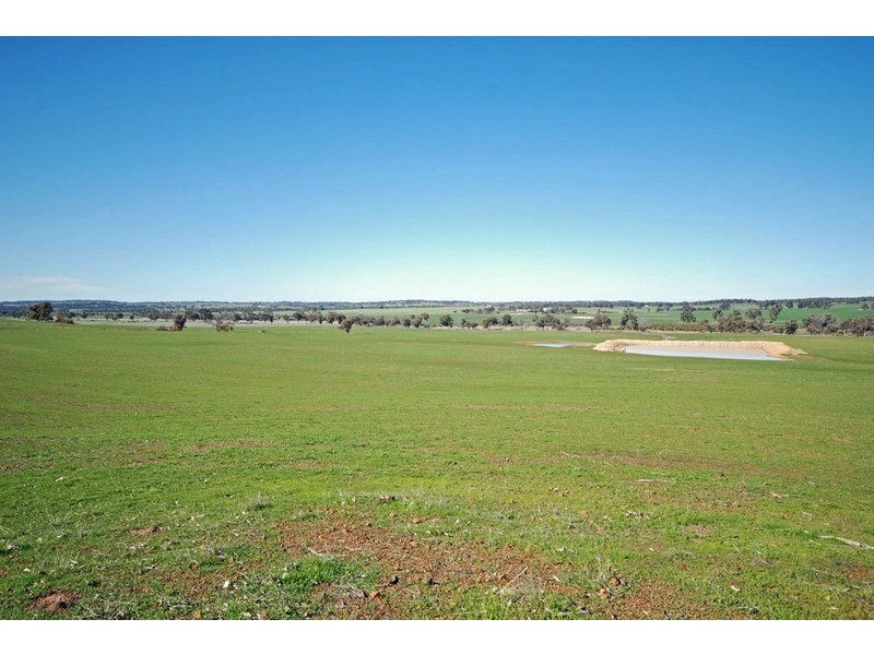213 Schoolars Road, Cuballing WA 6311