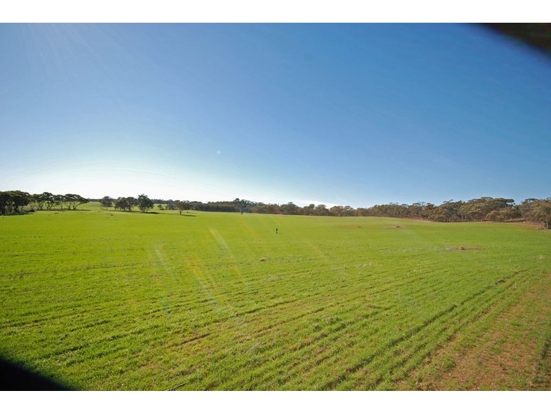 213 Schoolars Road, Cuballing WA 6311