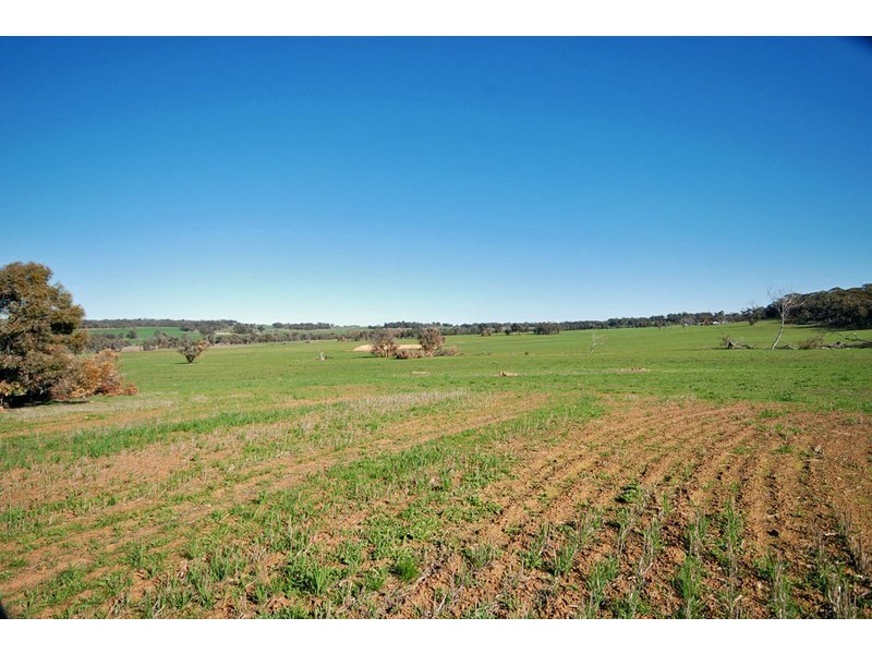 213 Schoolars Road, Cuballing WA 6311