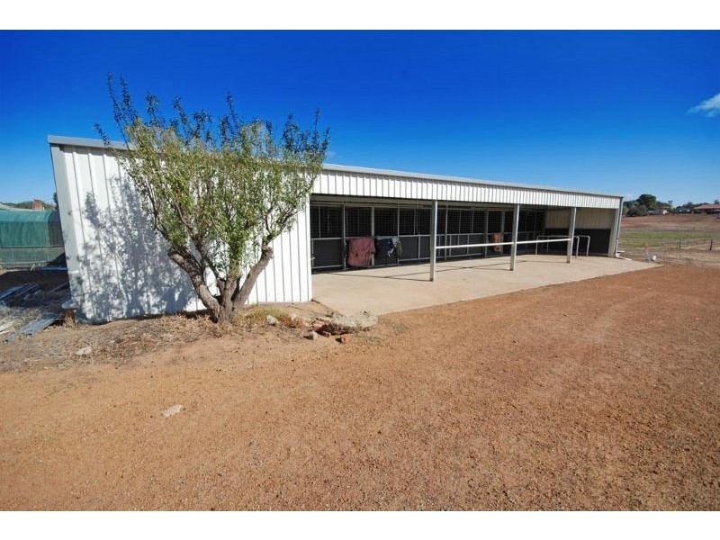 16 Dellar Street, Narrogin WA 6312