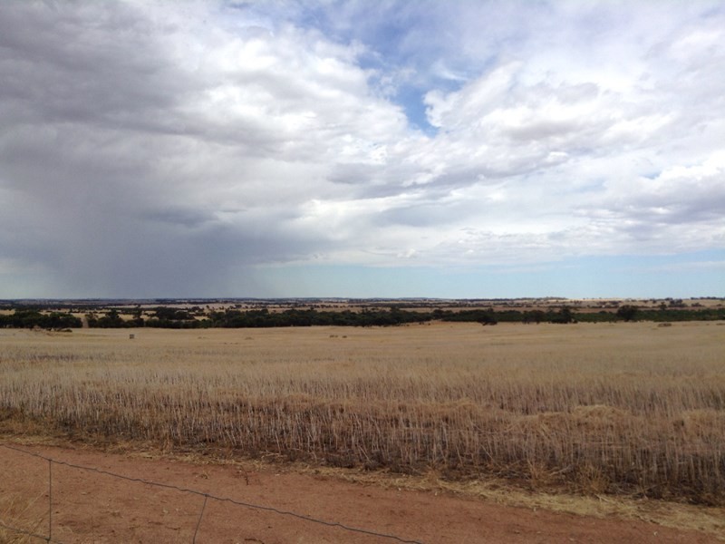 805 Bullaring, Pingelly WA 6308