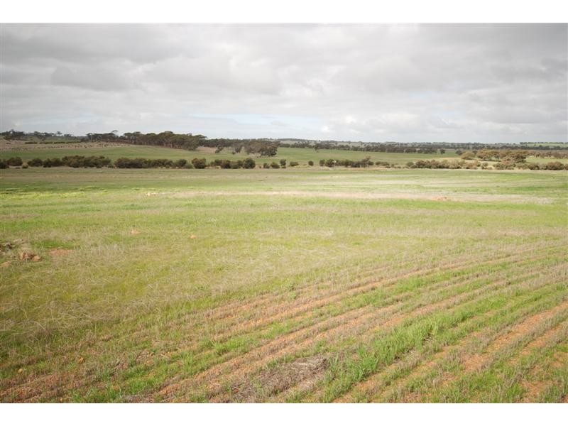 5 Bunmulling Road, Popanyinning WA 6309