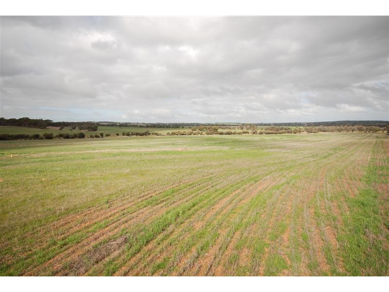 5 Bunmulling Road, Popanyinning WA 6309