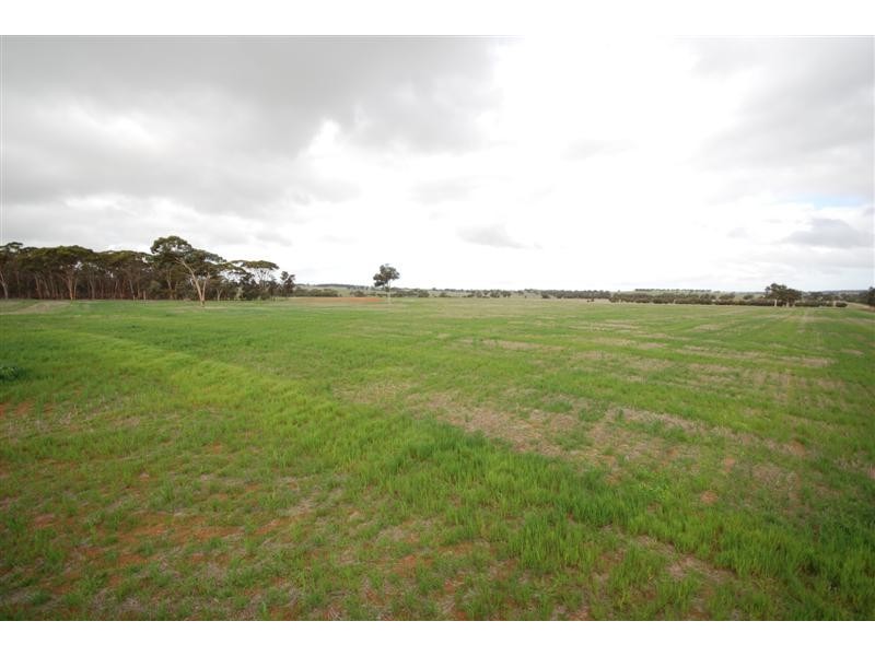 5 Bunmulling Road, Popanyinning WA 6309