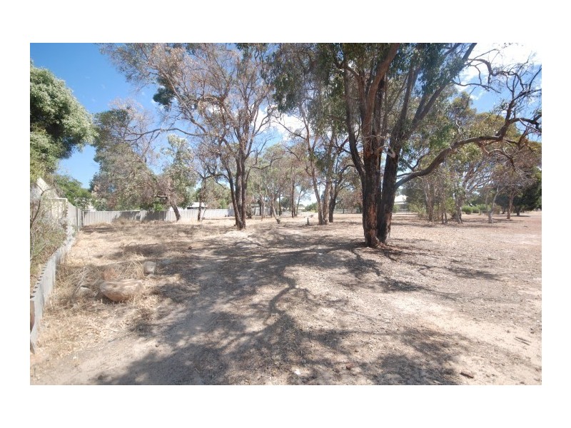 93 Lock Street, Narrogin WA 6312