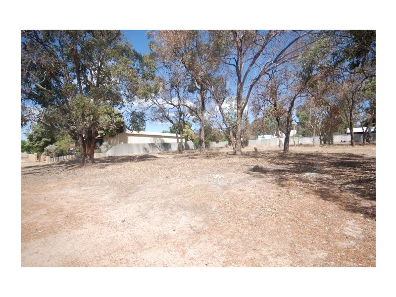 93 Lock Street, Narrogin WA 6312