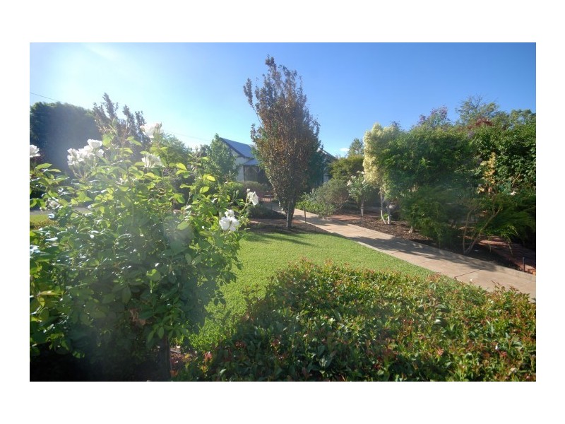 6 Lock Street, Narrogin WA 6312