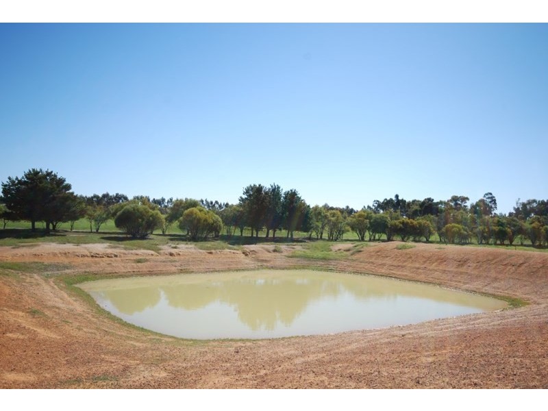 10 Yilliminning Road, Narrogin WA 6312