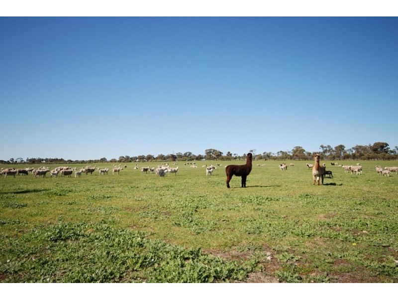 10 Yilliminning Road, Narrogin WA 6312