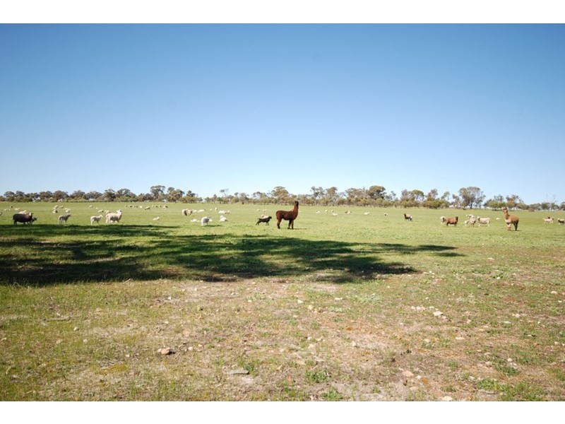 10 Yilliminning Road, Narrogin WA 6312