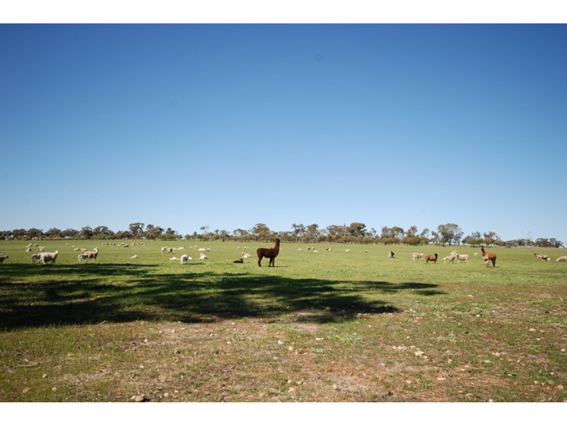 10 Yilliminning Road, Narrogin WA 6312