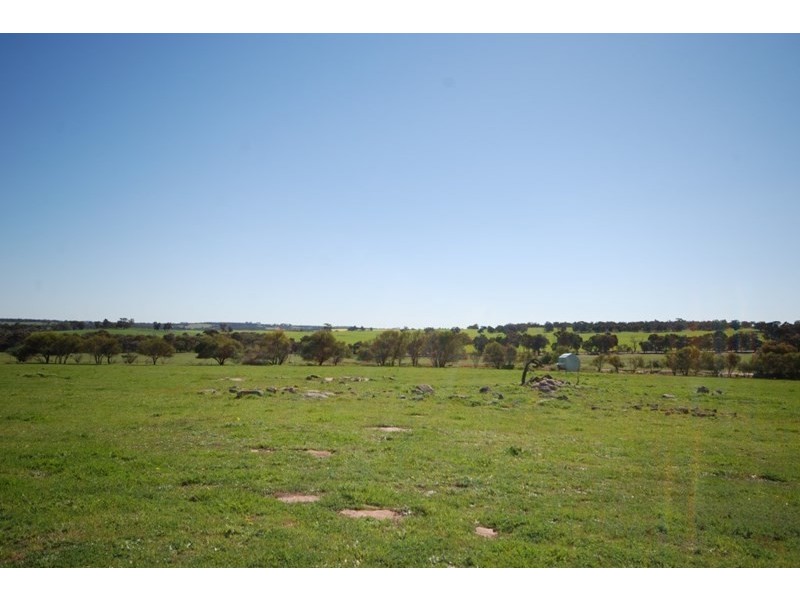 10 Yilliminning Road, Narrogin WA 6312