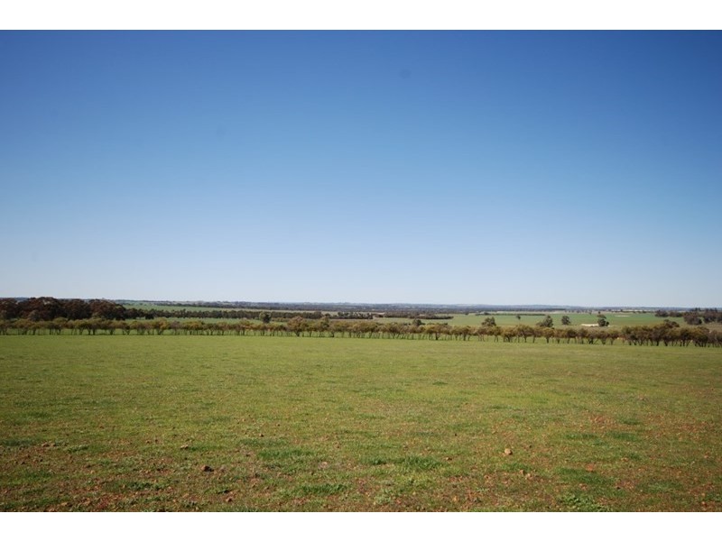 10 Yilliminning Road, Narrogin WA 6312