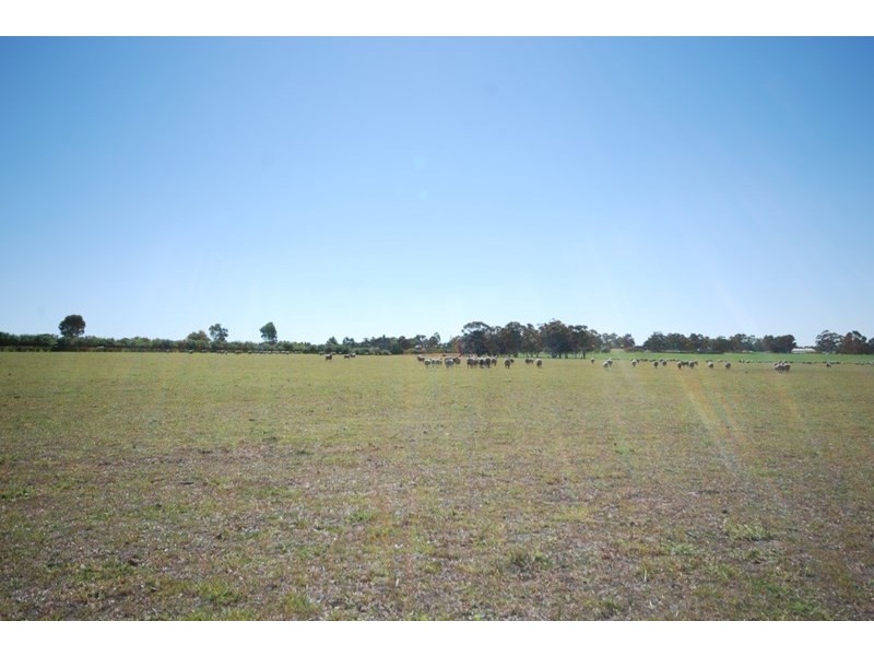 10 Yilliminning Road, Narrogin WA 6312