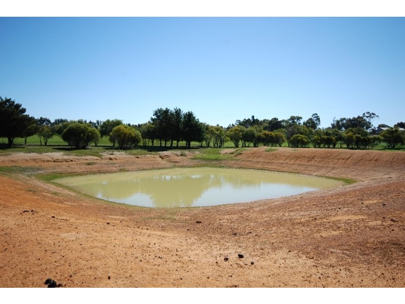 10 Yilliminning Road, Narrogin WA 6312