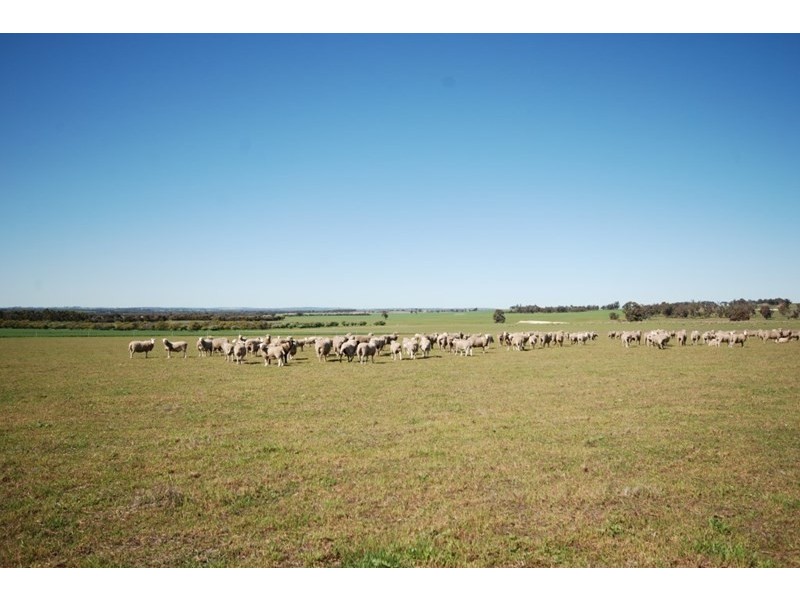 10 Yilliminning Road, Narrogin WA 6312