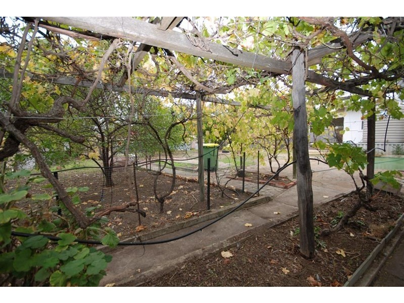 5 Unicorn Street, Wagin WA 6315