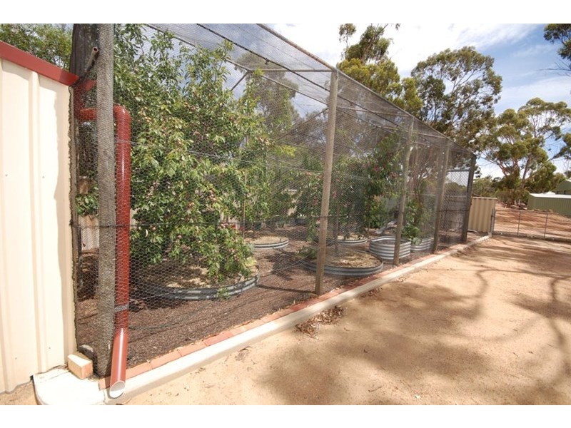 187 Campbell Street, Cuballing WA 6311