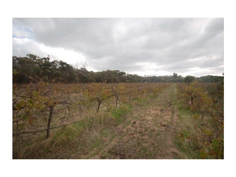 67 Campbell Street, Cuballing WA 6311