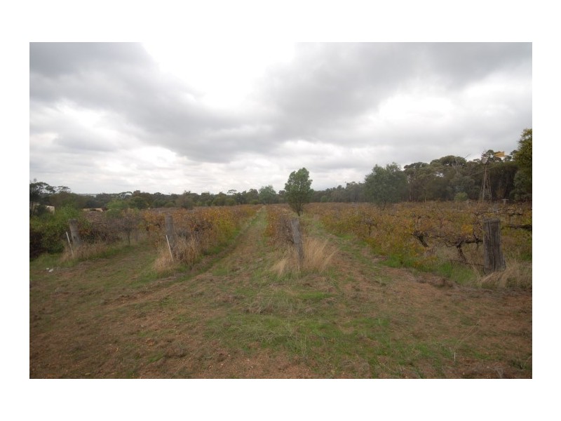 67 Campbell Street, Cuballing WA 6311