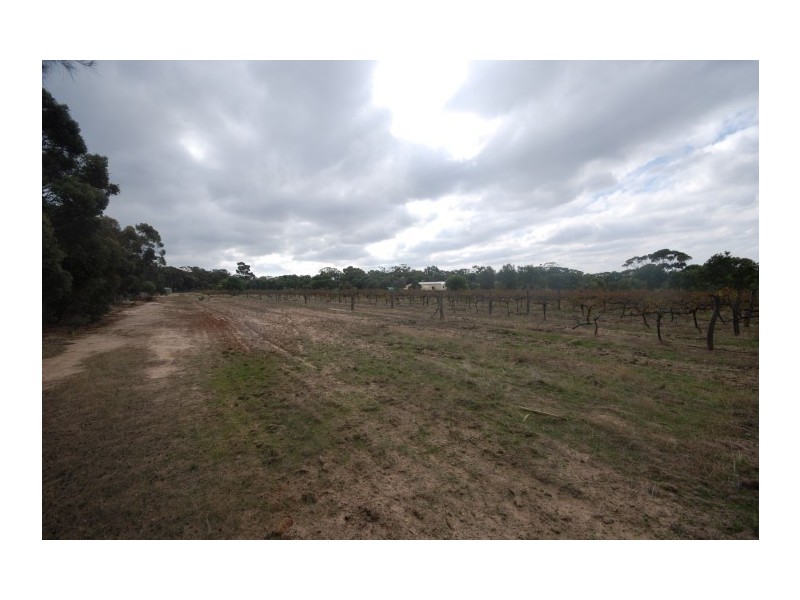 67 Campbell Street, Cuballing WA 6311