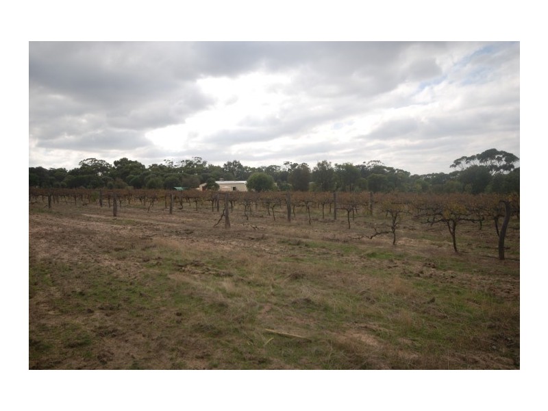 67 Campbell Street, Cuballing WA 6311