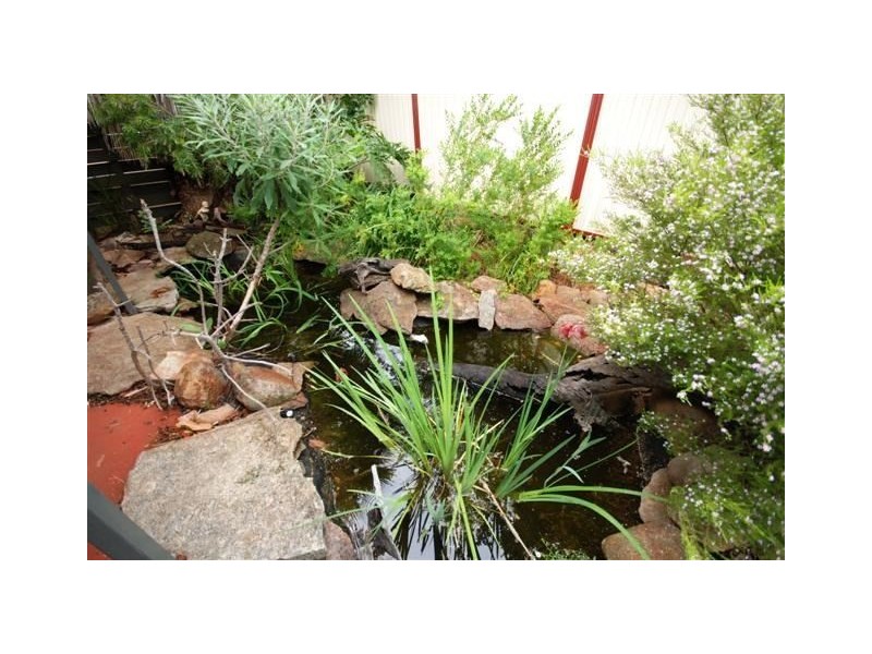 28 Grant Street, Narrogin WA 6312