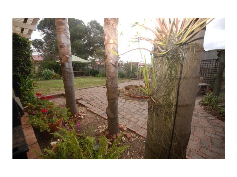 34 Felspar Street, Narrogin WA 6312