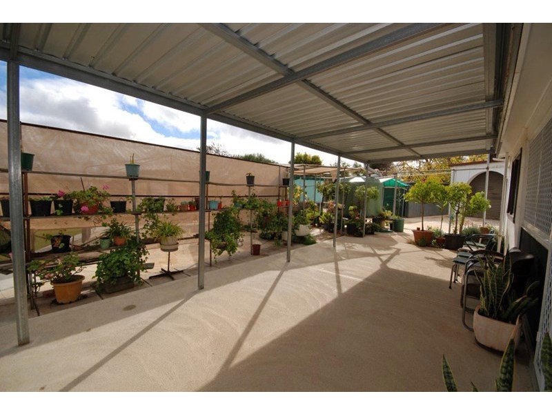 33 Hansard Street, Narrogin WA 6312