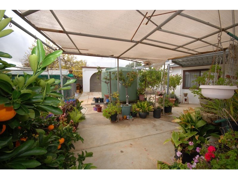 33 Hansard Street, Narrogin WA 6312