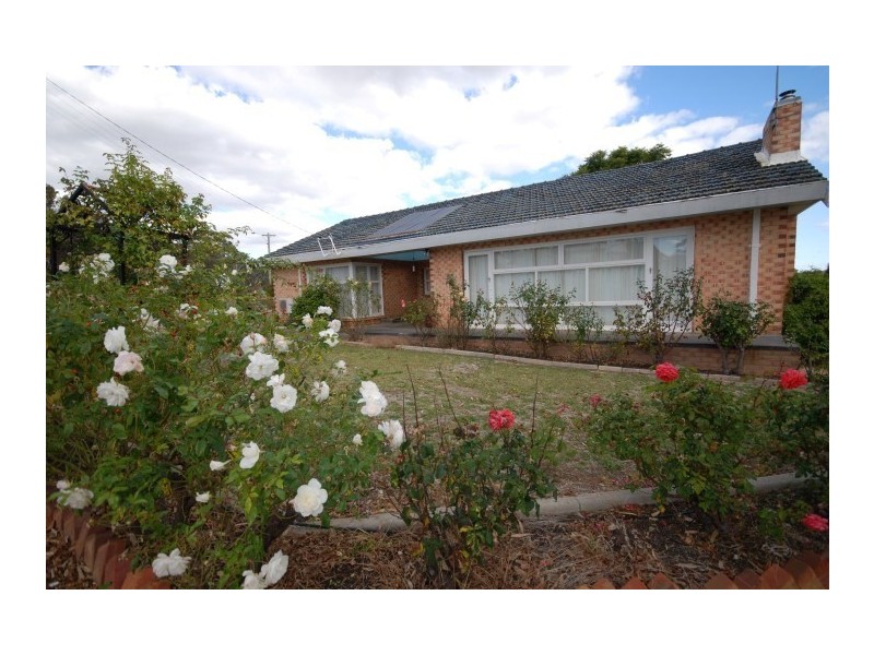 40 Homer Street, Narrogin WA 6312