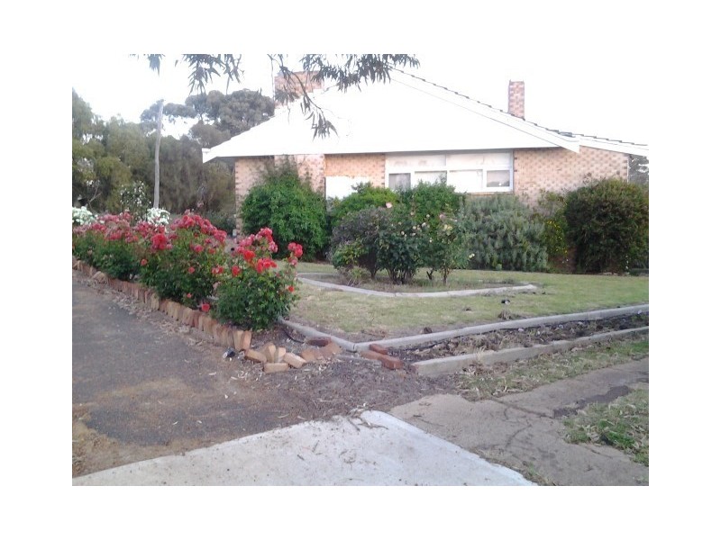 40 Homer Street, Narrogin WA 6312