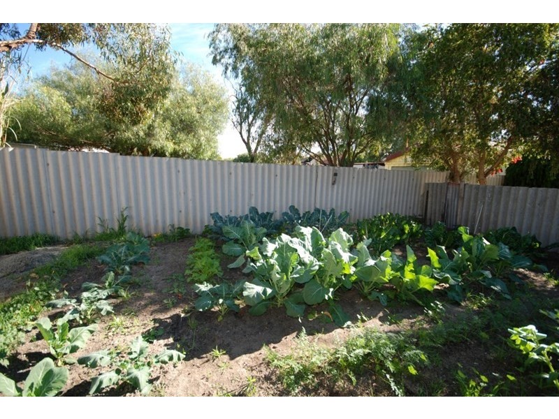 48 Bannister Street, Narrogin WA 6312