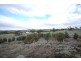 Lot 4216 Oakleigh Road, Popanyinning WA 6309