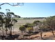 Lot 13 Kulin-Dudinin, Dudinin WA 6363