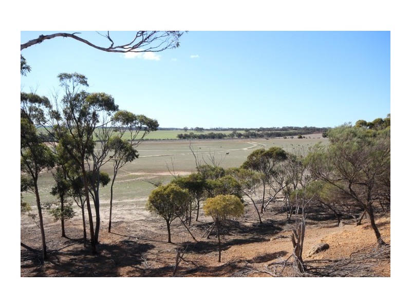 Lot 13 Kulin-Dudinin, Dudinin WA 6363
